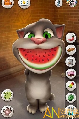 会说话的汤姆猫原始版下载