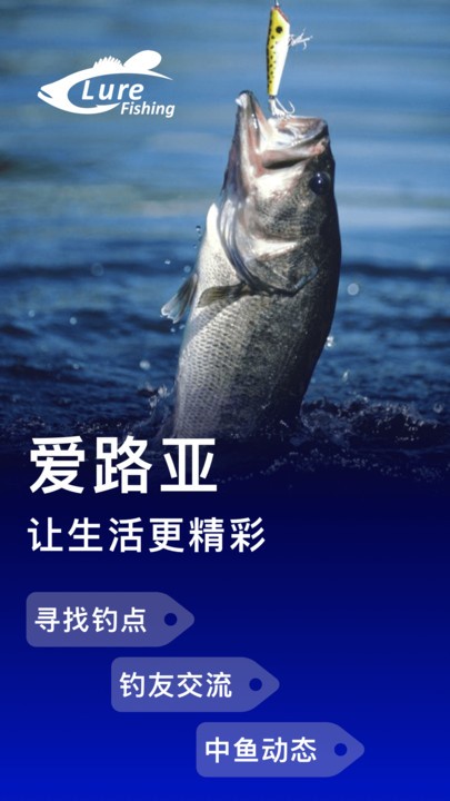 爱路亚app