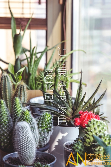 爱花草软件