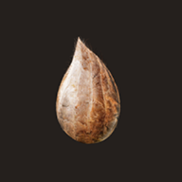 mitoza游戏