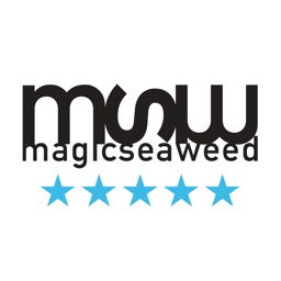 msw浪报app