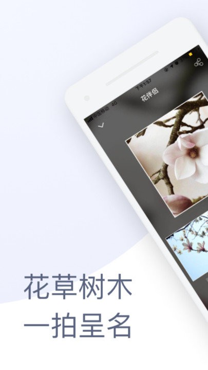 花伴侣识花软件