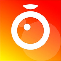 视频监控云助手app(监控butler)