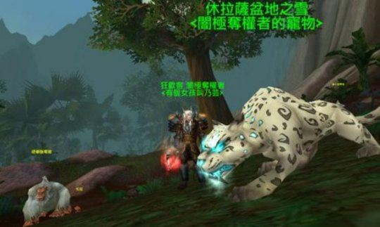 魔兽世界wlk怀旧服猎人哪些宠物好用 猎人必备宝宝推荐