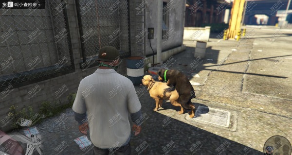GTA5 PC版全剧情流程及全任务收集图文流程攻略