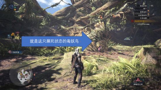 怪物猎人世界巫师3联动任务图文攻略