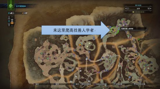 怪物猎人世界巫师3联动任务图文攻略