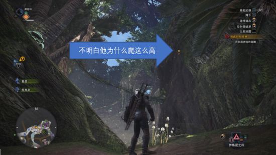 怪物猎人世界巫师3联动任务图文攻略
