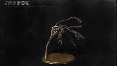 黑暗之魂3DLC图文流程攻略 武器装备收集与BOSS打法详解
