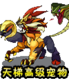 洛克王国第13届武道会决赛征服赛制队伍全面分析