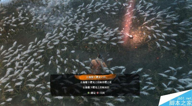 只狼影逝二度：全流程图文攻略及BOSS打法详解