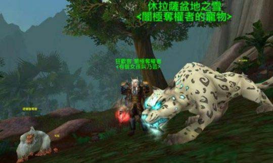 魔兽世界WLK怀旧服：猎人宠物最佳选择推荐