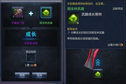 剑灵装备养成全攻略：技巧与心得分享