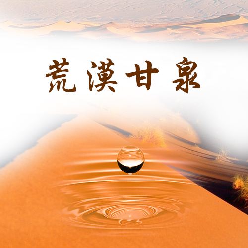 荒漠甘泉TXT