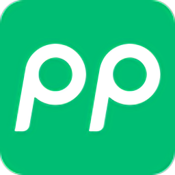 PP停车