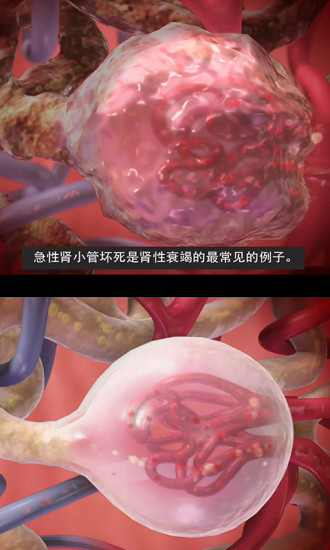 3D生理和病理学2025