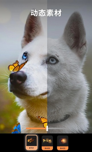 小狐狸动画制作APP
