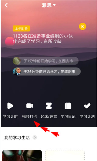 Timing软件