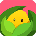 美柚孕期APP