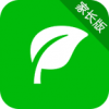 绿芽