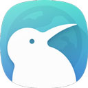 Kiwi浏览器(Kiwi Browser)安卓手机版