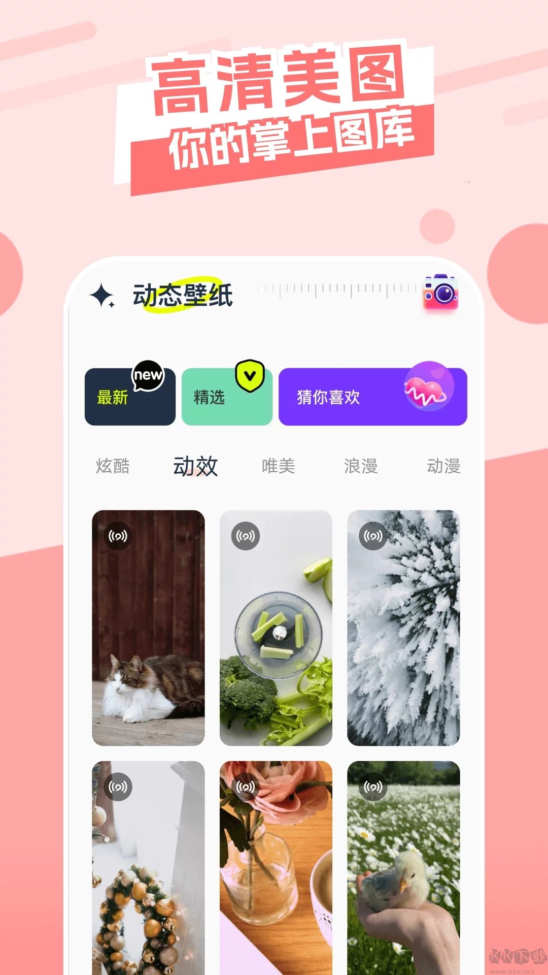 主题库(免费)app修改破解版2025最新