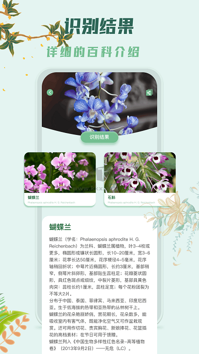 识花君手机版免费