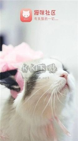 猫咪社区app官方版2025最新
