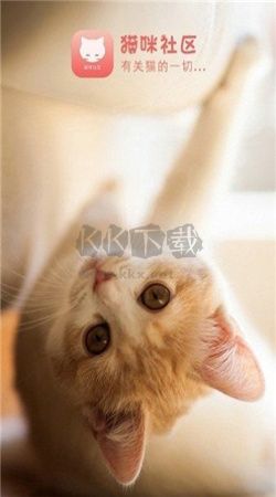 猫咪社区app官方版2025最新