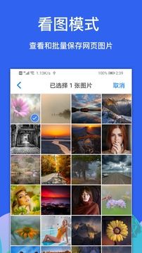 Alook浏览器2024最新版