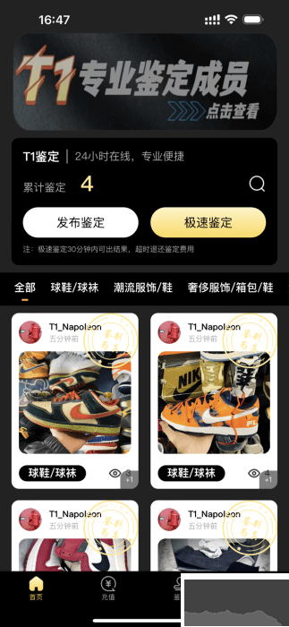 鉴定师abb软件轻量版