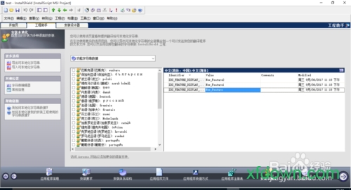 installshield汉化版