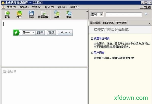 金山快译2006专业版