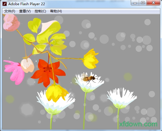 flash player播放器免费
