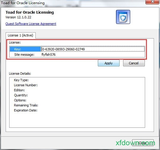 toadfororacle汉化版