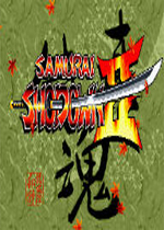 侍魂2单机游戏