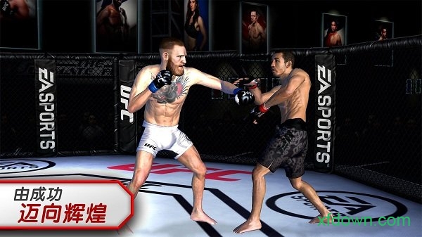 ufc终极格斗冠军赛2010游戏