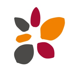 天风证券大智慧