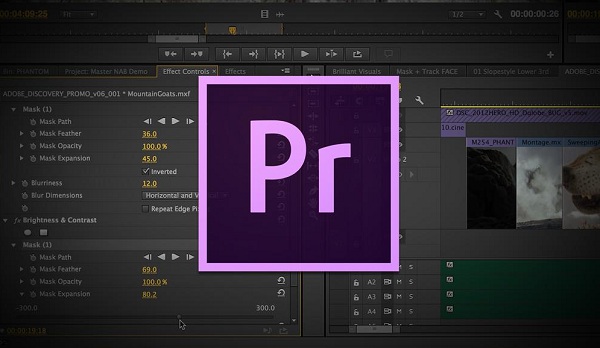 adobe premiere pro2.0破解版