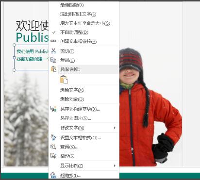 publisher软件