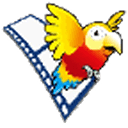 能飞视听学习pc版官方