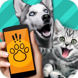 PetTranslator官方正版