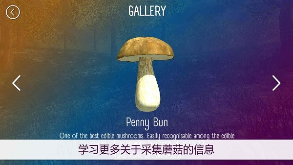 真实采蘑菇模拟器游戏