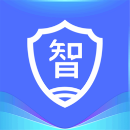 智网