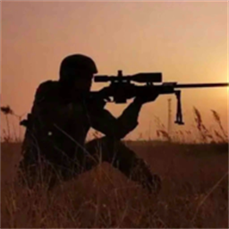 狙击手狙击精英手游