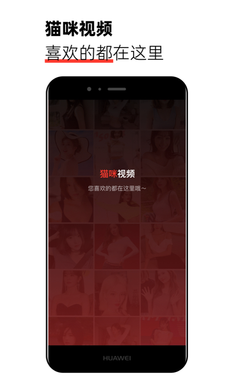猫咪 视频app