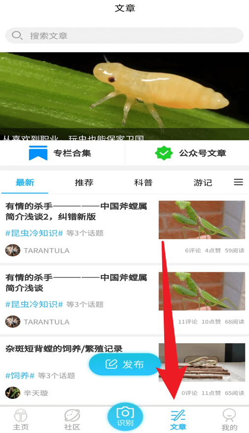 昆虫百科app