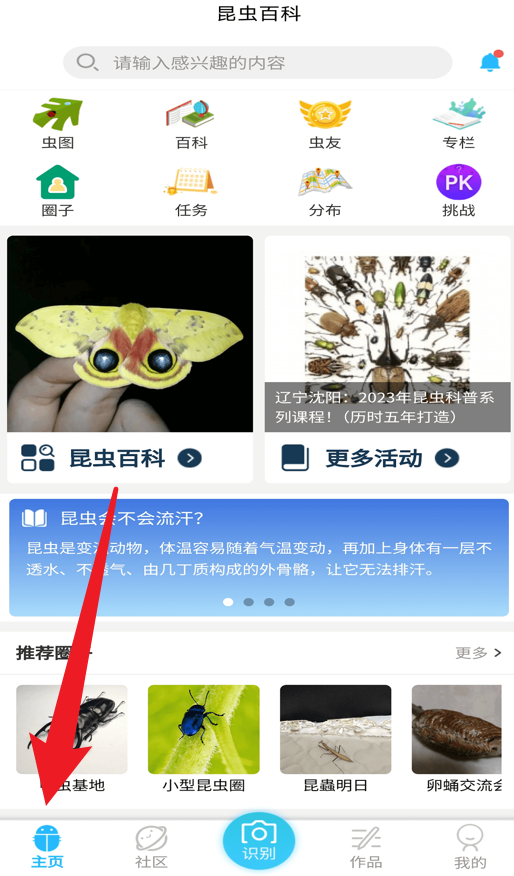 昆虫百科app