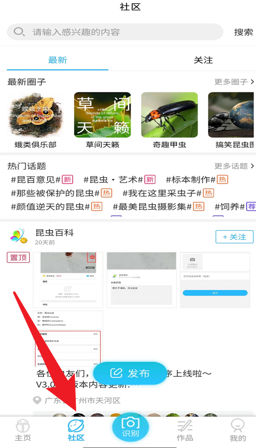 昆虫百科app