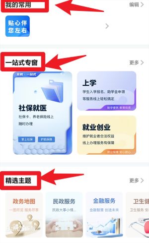 葫芦岛政务服务网app